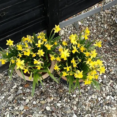 Solkrogens Marstal